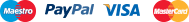 Payment logo